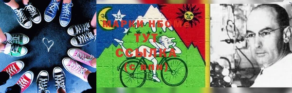 винт Майский