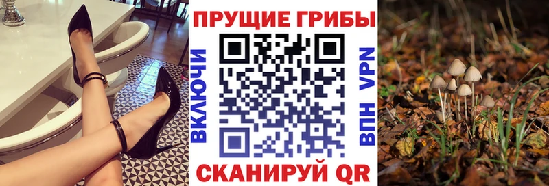 Галлюциногенные грибы MAGIC MUSHROOMS  Купить закладки  Воронеж 