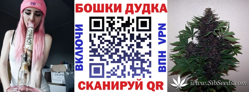 Бошки марихуана VHQ  Купить где  Воронеж 